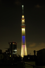 IMGP2893