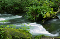 20120714-IMGP2508