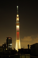 IMGP2862