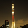 IMGP2862