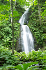 雲井の滝