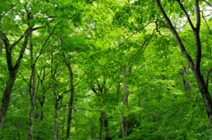 20120713-IMGP2418