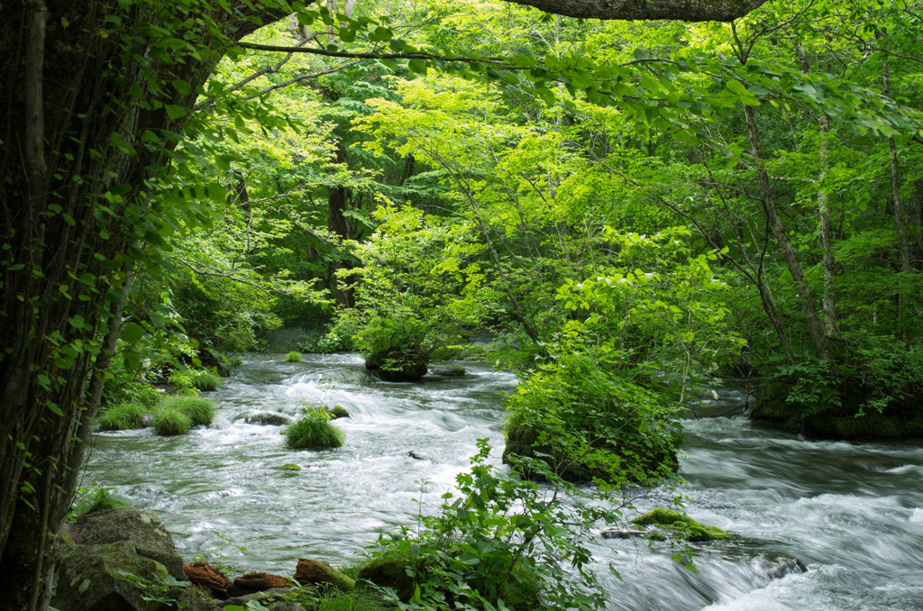 20120713-IMGP2421