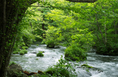20120713-IMGP2421