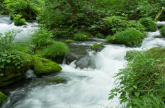 20120714-IMGP2525