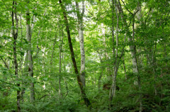 20120713-IMGP2432