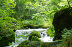 20120714-IMGP2535