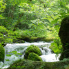 20120714-IMGP2535