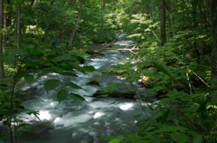20120714-IMGP2572