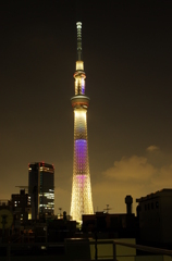 IMGP2870