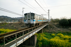黄色と電車