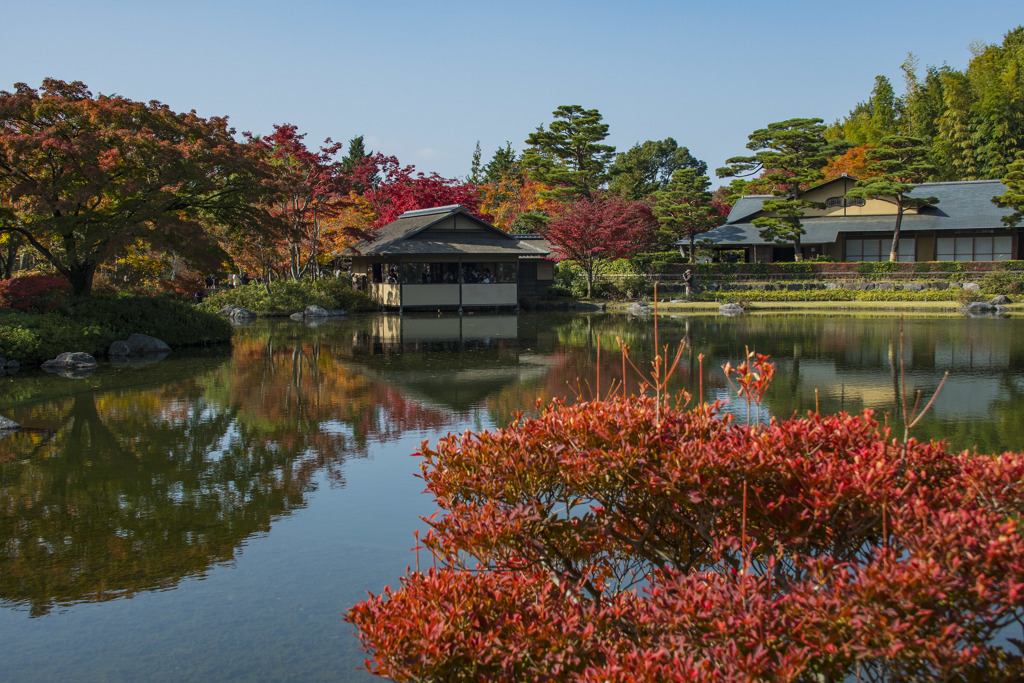 日本庭園