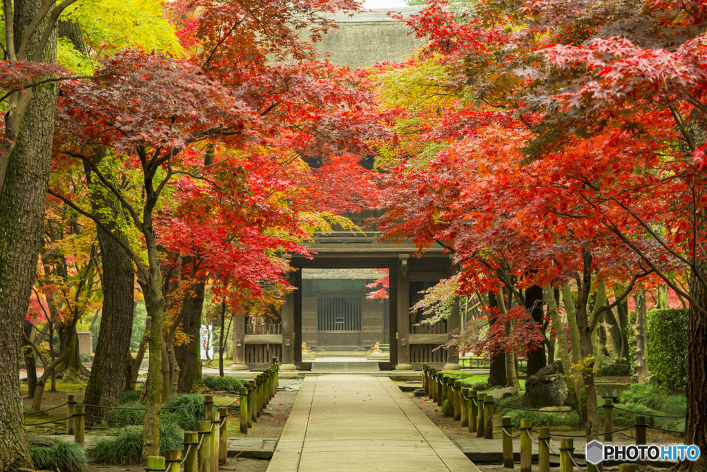 平林寺山門　