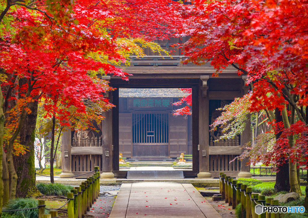 平林寺山門　