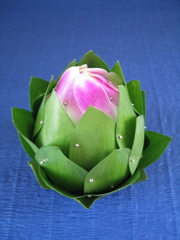 Lotus / Flower Arrangement