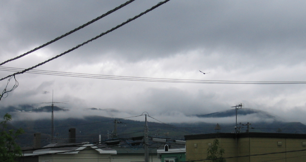 皐月の空
