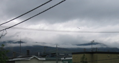 皐月の空