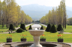My favorite forest park