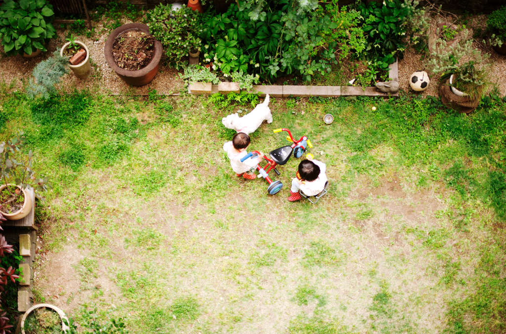 GARDEN