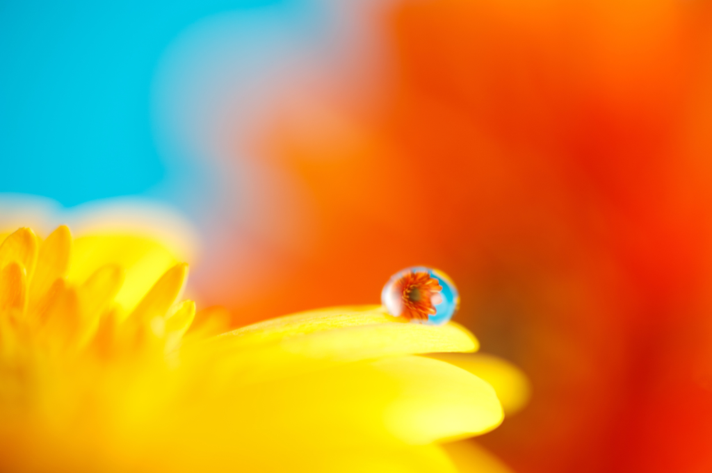 color