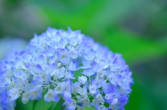 こつぶっこ