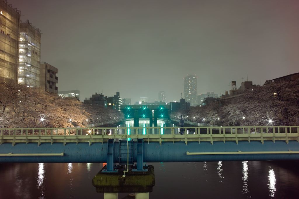 いつもの景色に花が咲いた