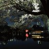 涼亭