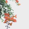 オレンジ