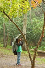 雨ニモマケズ