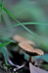 雨上がりの