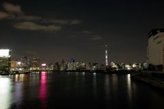 サクラツリー