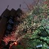 朱に交われば