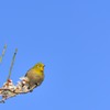 青い空が好き①