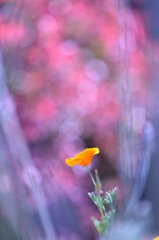 雑踏の中の孤独
