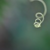 ぐるぐるぐる