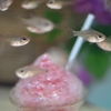 氷イチゴ