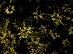 stars