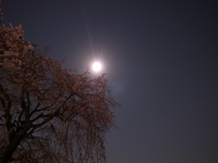 月夜