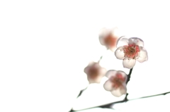Glasswork