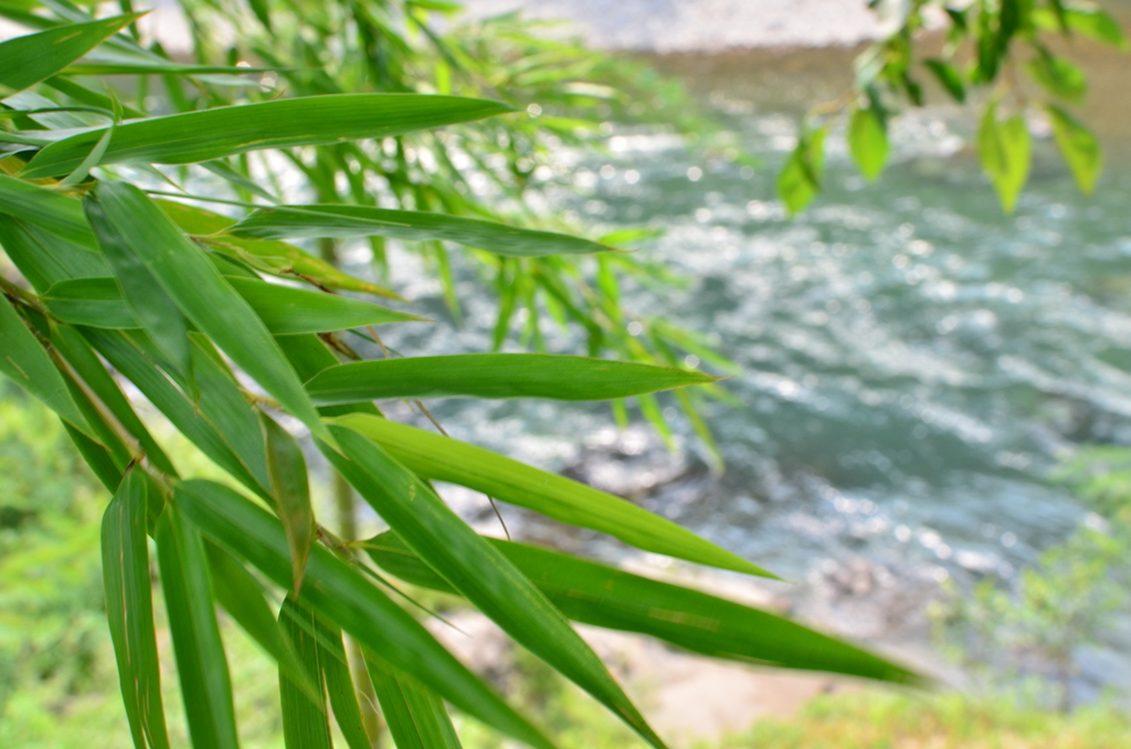 夏涼