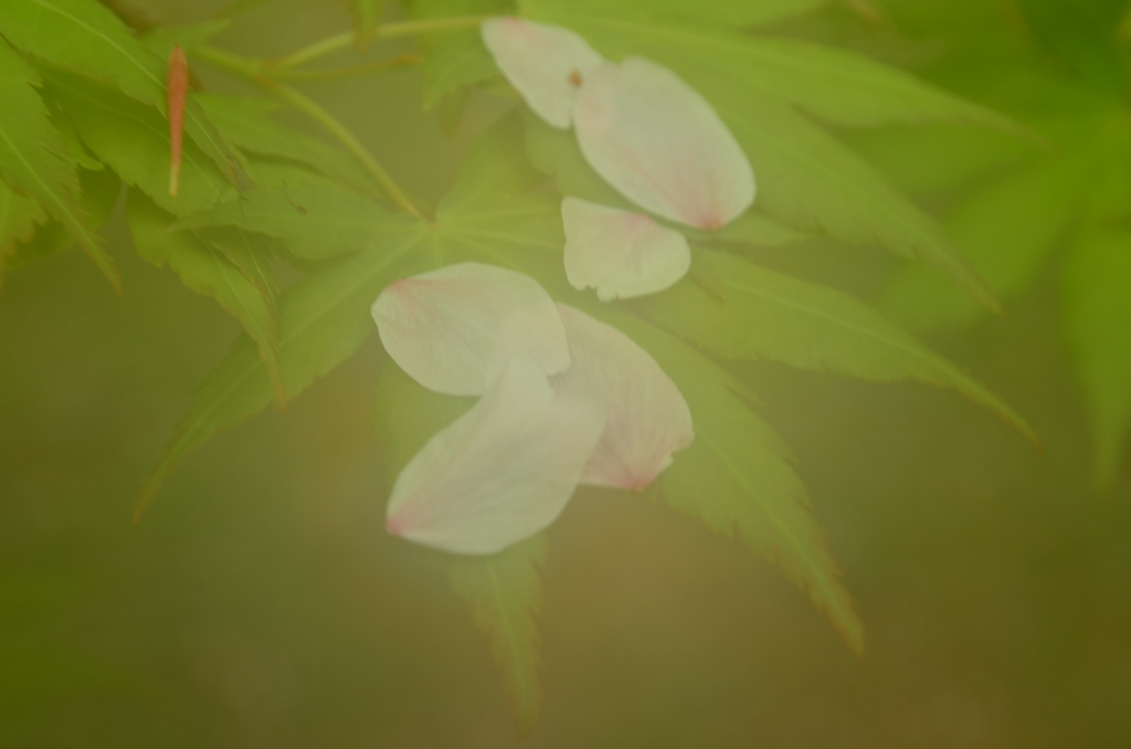 暖かな日差しの中で