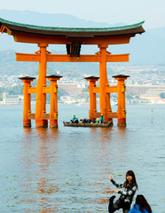 アッ変なもの入ってしまいました。