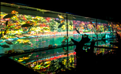 アートアクアリューム　２０１４大阪