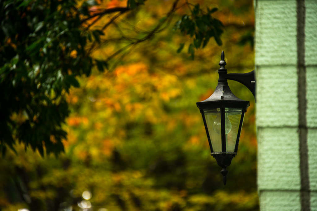 街灯の後ろにあるもの