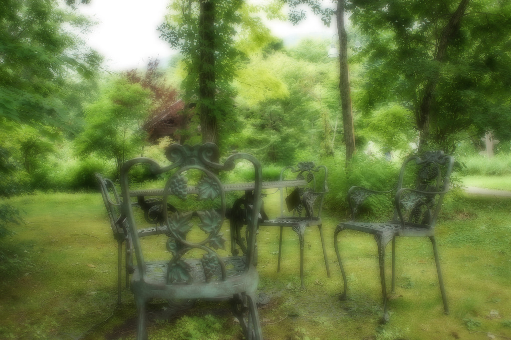 昼下がり森の、憩い
