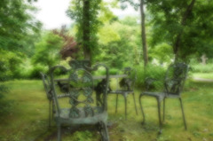 昼下がり森の、憩い