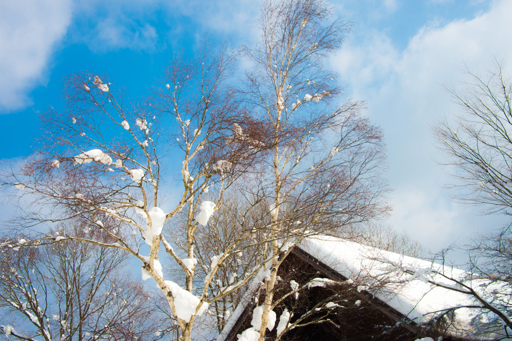 アッパレ、快晴