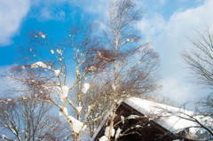 アッパレ、快晴