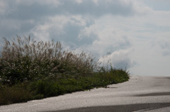 ススキ平原の、ワイディングロード