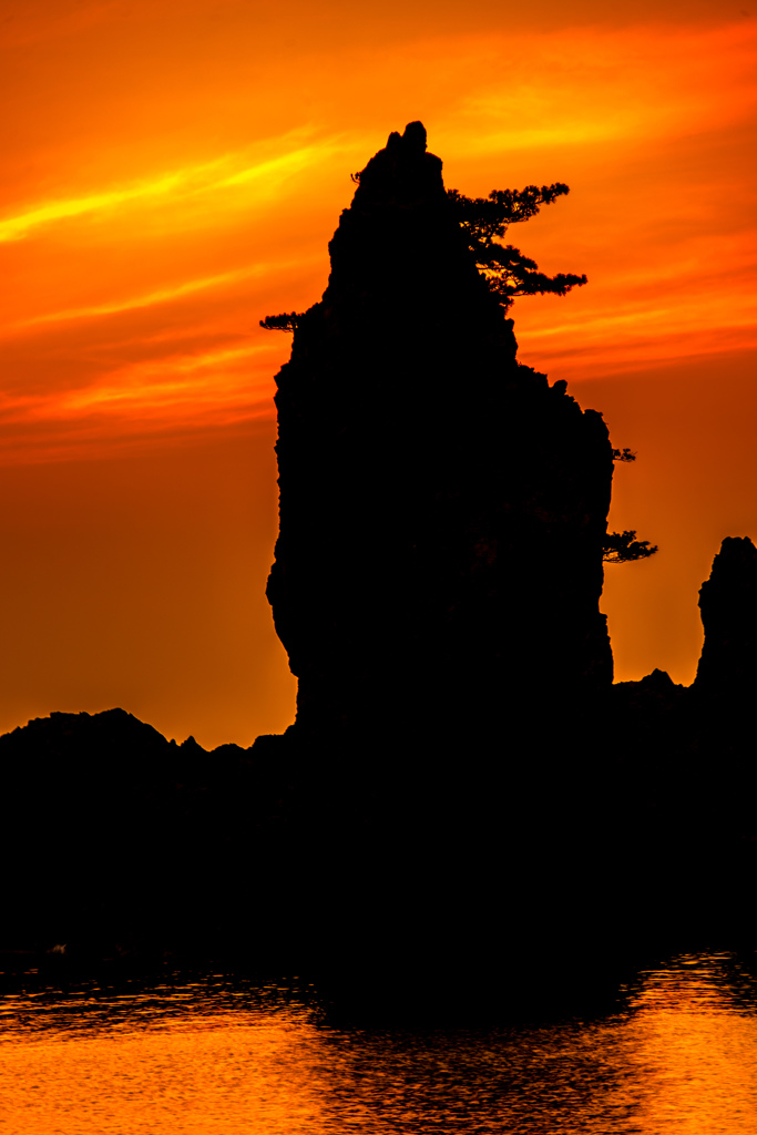 岩礁と松　朝景